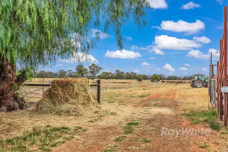 Location, Location - Exceptional Opportunity in the Goulburn Valley
