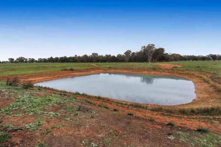 Rural For Sale in Temora, New South Wales