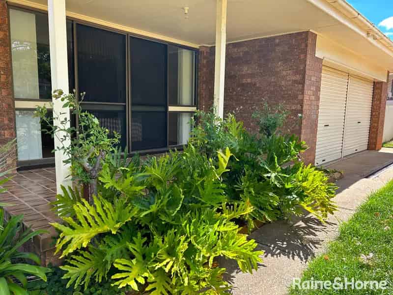 House For Rent , Young, New South Wales