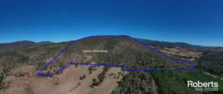 175 Acre Bush Block with Dam - Tranquil Haven for Nature Lovers