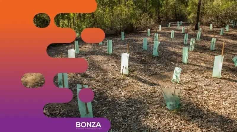 Buy Established Environmental Management Business with Strong Client Base