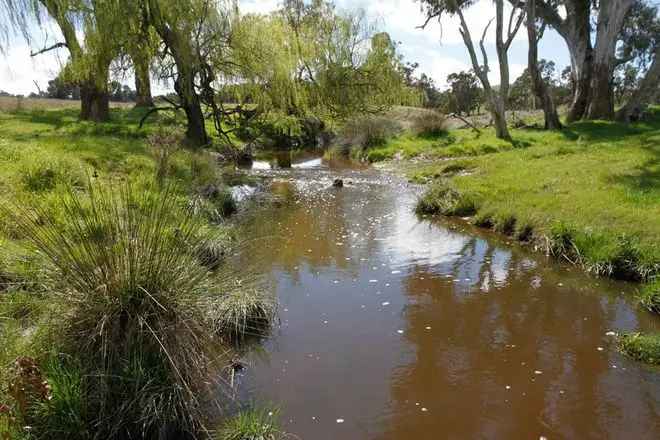 Rural For Sale in Yass, New South Wales