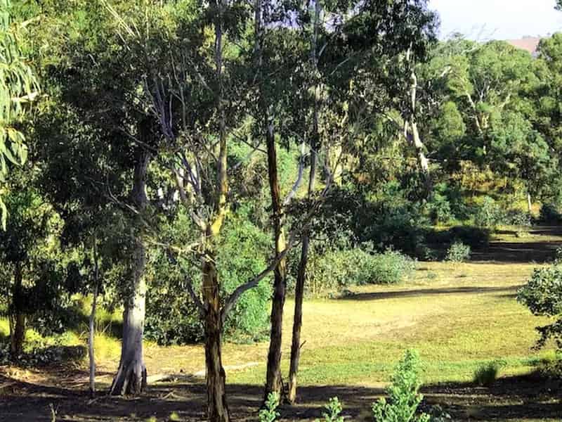 House For Rent , 202, Goolabri Drive, Sutton, New South Wales
