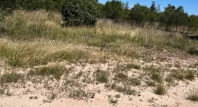 Rural property For Sale , Western Downs Regional, Queensland