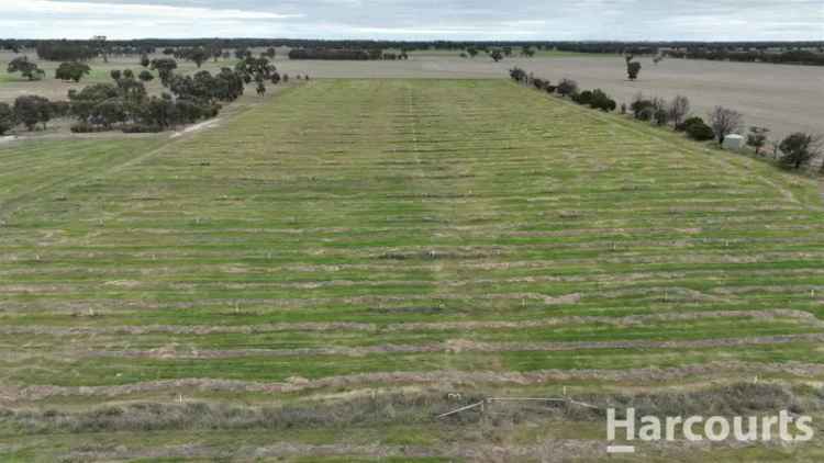 Rural For Sale in Rural City of Horsham, Victoria