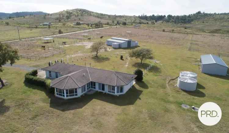 HORSE PROPERTY WITH DEVELOPMENT POTENTIAL