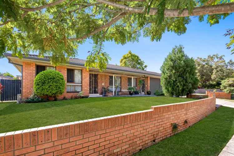 Great family home - Close to Westfield Carindale and parkland