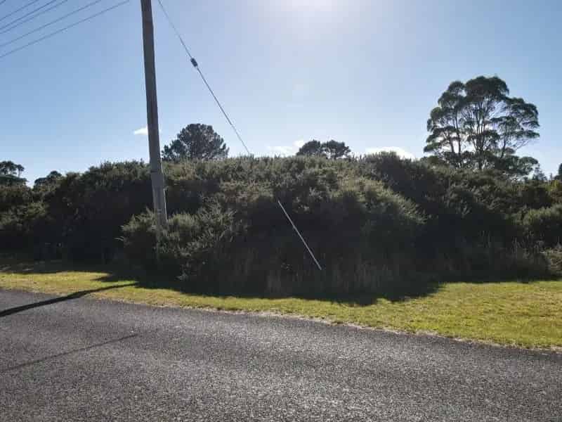 Affordable Slice of Zeehan - Ready for Your Vision!