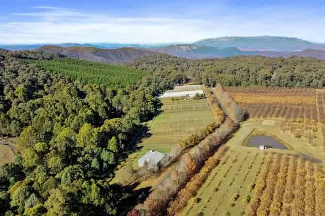 House For Sale , Alpine Shire, Victoria