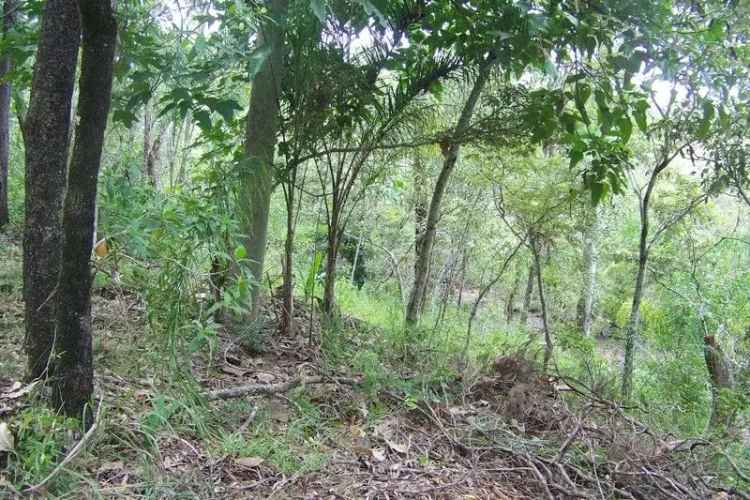 BEAUTIFUL BLOCK NEAR THE BUSHLAND RESERVE AND WARD PARK