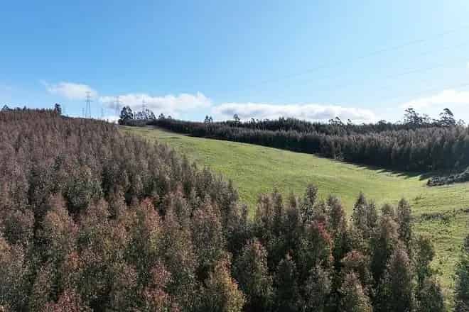 Rural property For Sale , Kentish, Tasmania