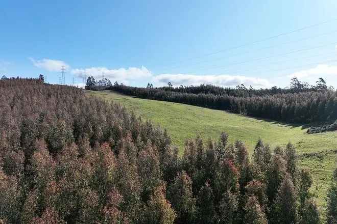 Rural For Sale in Kentish, Tasmania