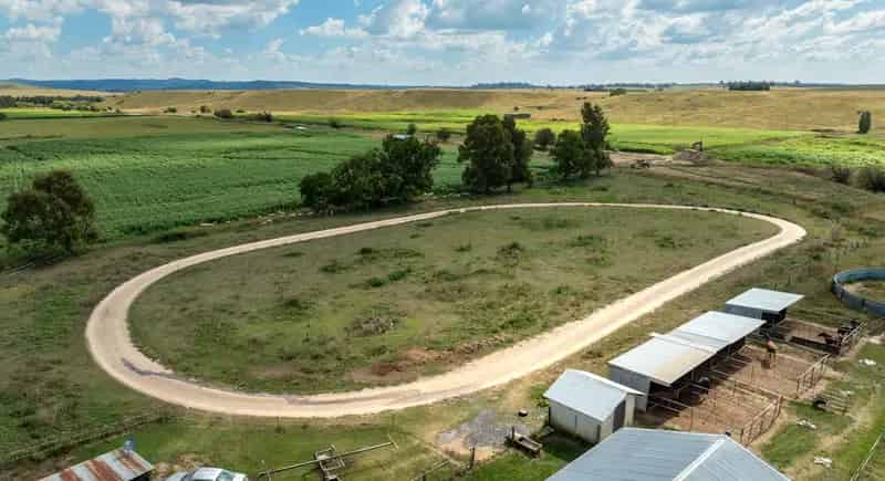 Rural property For Rent , Brewongle, New South Wales