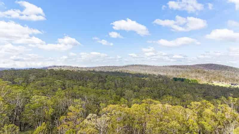 Buy Native Bushland Property Peakview for Nature Lovers