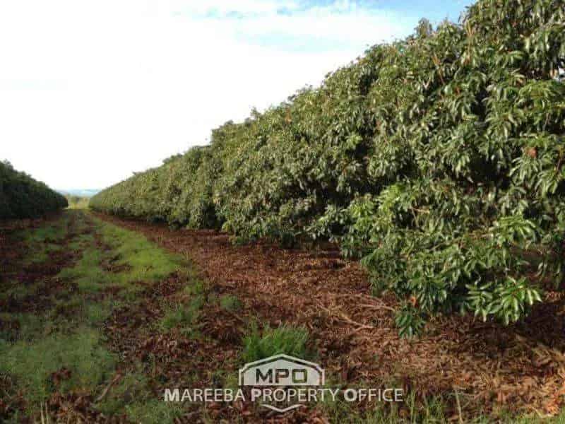 Rural property For Sale , Mareeba, Queensland