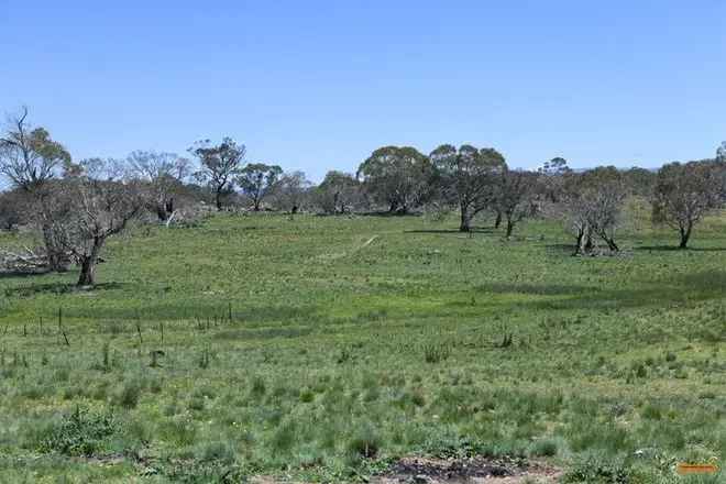 Land For Sale in Snowy Monaro Regional Council, New South Wales