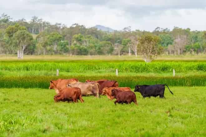 Land For Sale , 100, Falls Road, Serpentine, Western Australia
