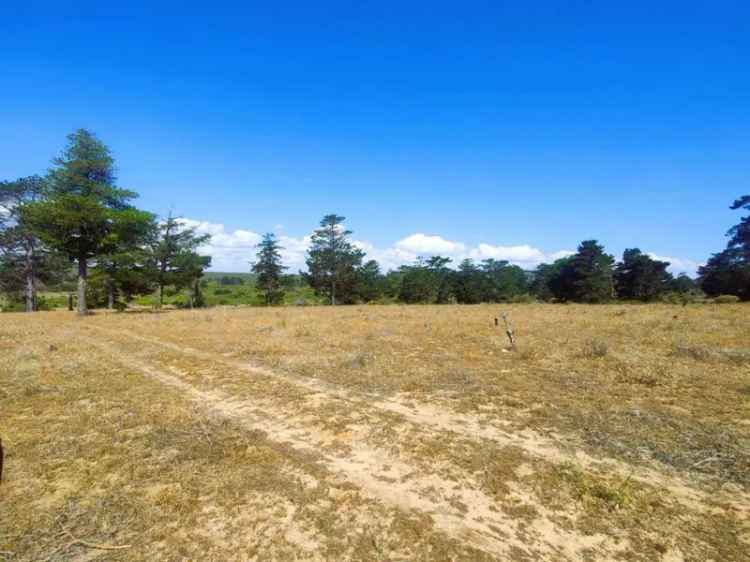 Rural For Sale in Shire Of Gingin, Western Australia