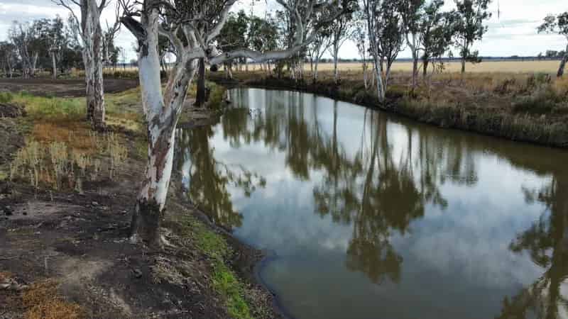 Darling Downs Heavy Black Soil Farming Country - Alfalfa Middle
