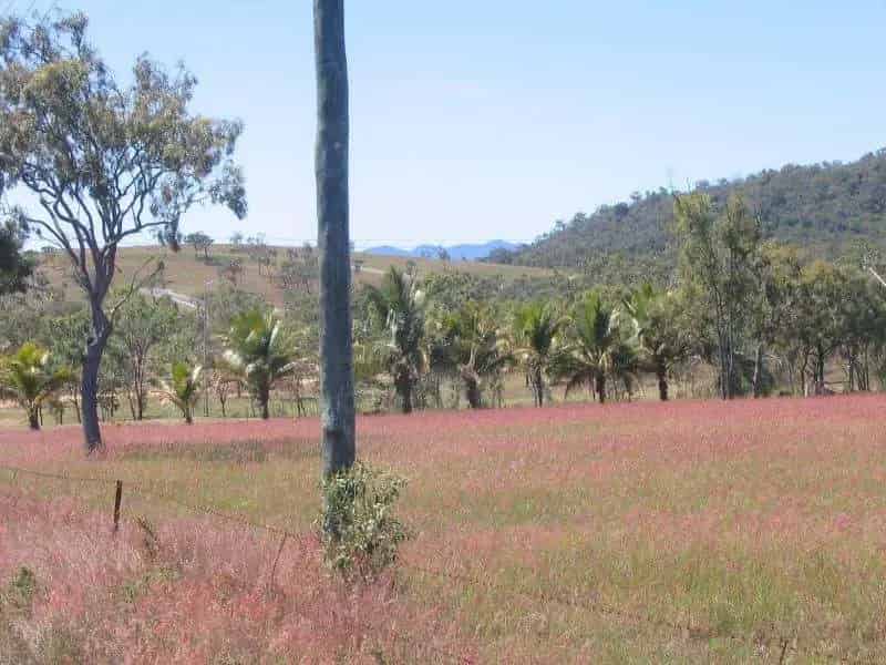 Development site for sale with sea views near Bowen