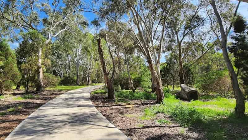 16 Bilney Drive, Athelstone SA 5076 - House For Sale