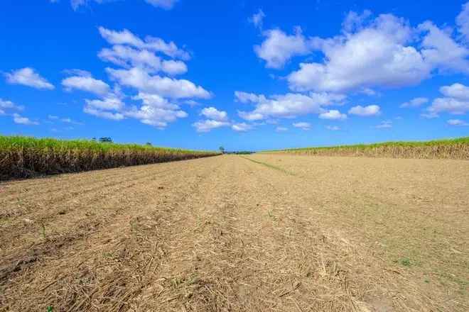 Rural For Sale in Bundaberg, Queensland