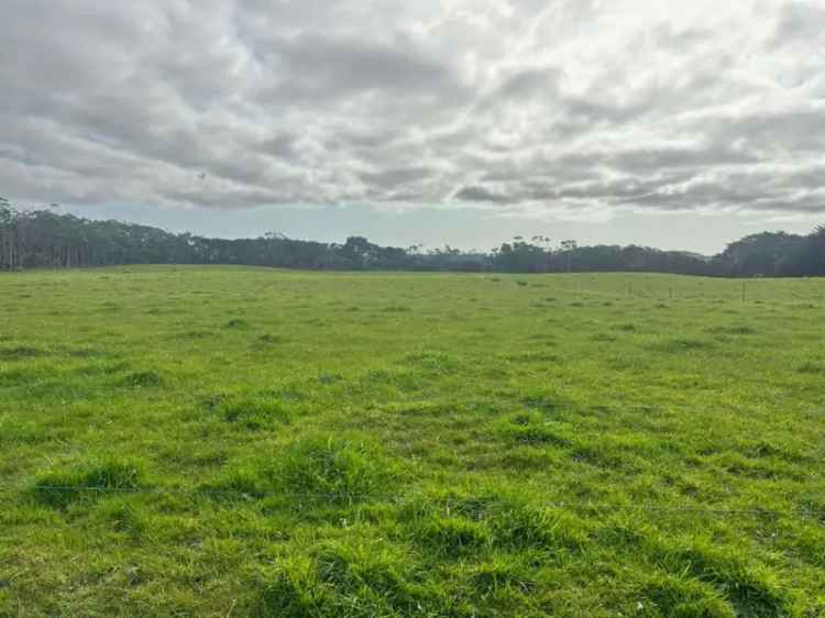 Buy rural property on King Island with farmhouse and dairy facilities