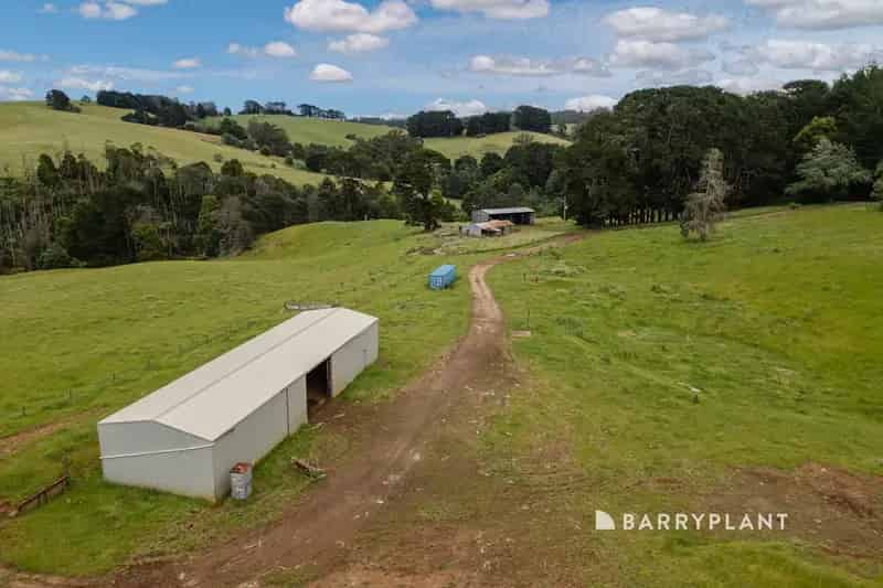 Acreage ready for livestock, crops...the dream is endless on 202 acres (approx) Neighbouring towns are Thorpdale and Yarragon.