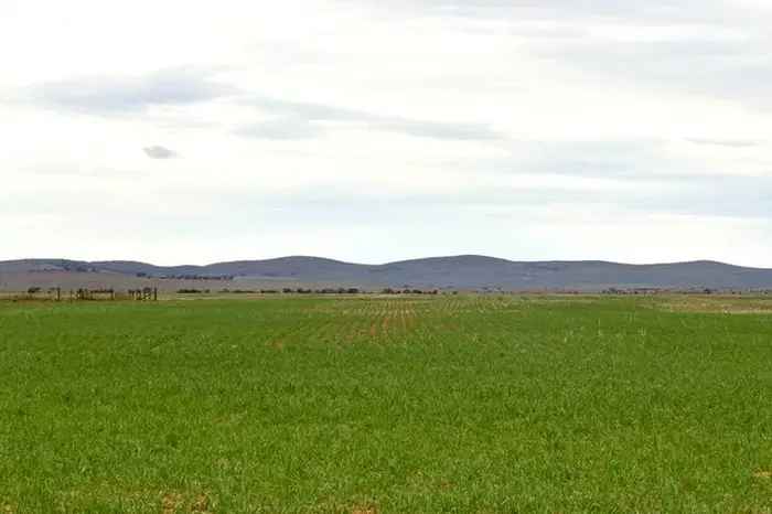 Rural For Sale in Noosa Shire, Queensland