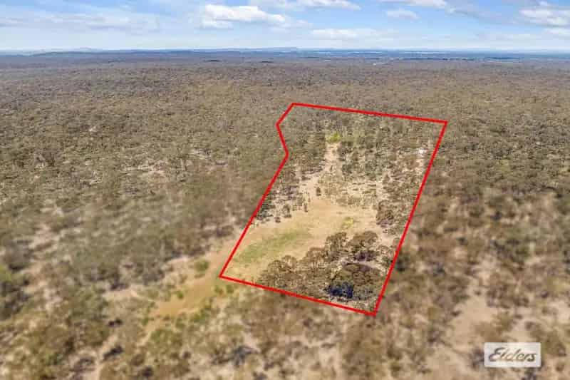 Rent Rural Property in Private Bush Retreat Near Wellsford State Forest
