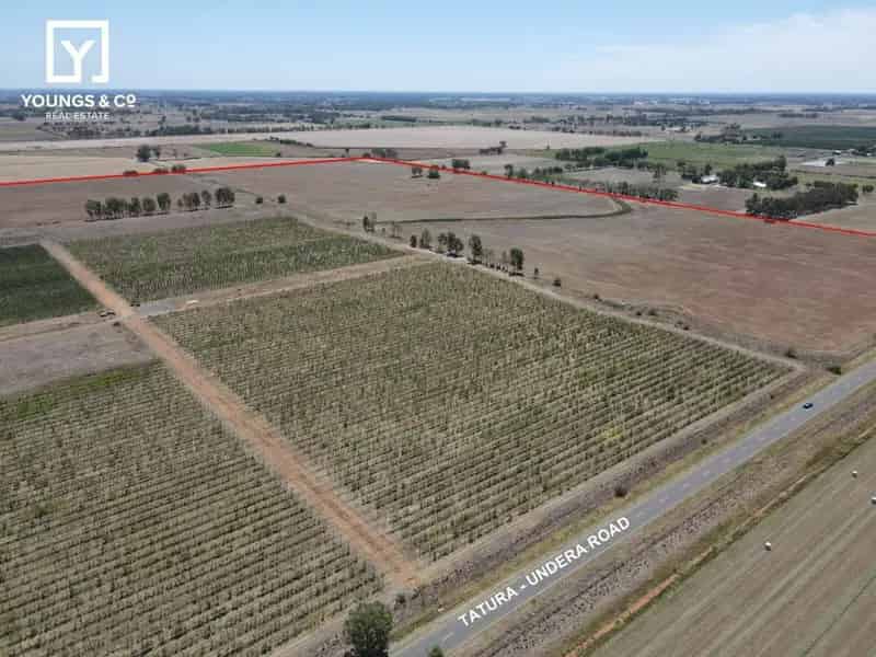 Buy Rural Property Orchard in Tatura With Automation and Quality Output