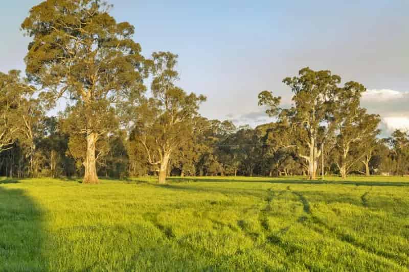Buy rural property in Victoria's thoroughbred precinct with stables