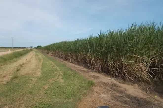 Rural property For Sale , Ayr, Queensland