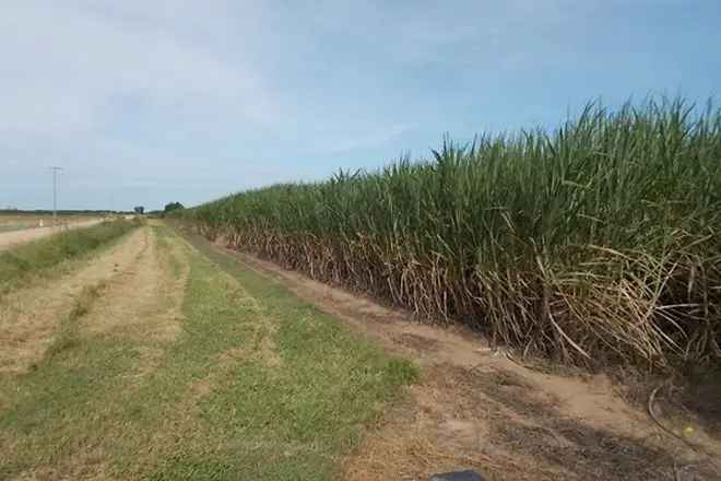 Rural For Sale in Ayr, Queensland