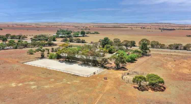 House For Sale in Eudunda, South Australia