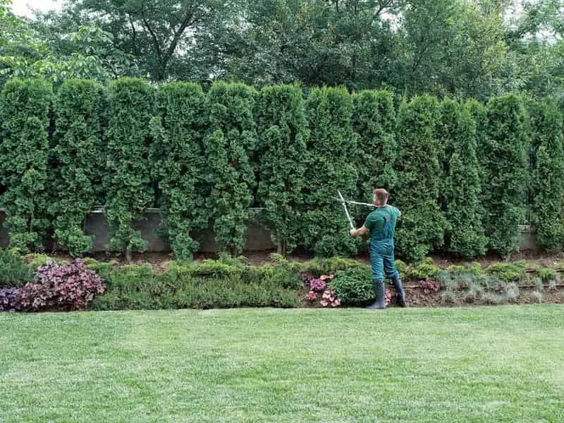 Buy Successful Landscape Construction Business in Regional Queensland