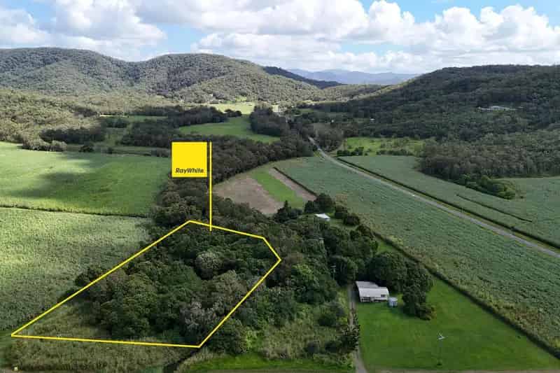 Buy Bare Acreage Block Near Sarina with Giant Mango Trees