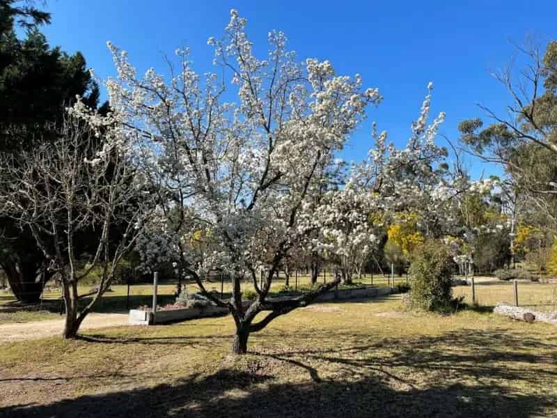 Rural property For Sale , Southern Downs Regional, Queensland