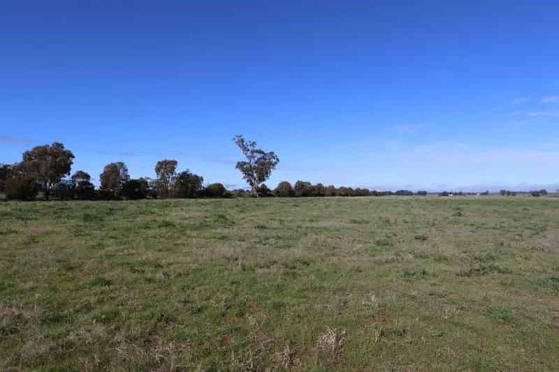 Buy rural property near Coolamon with versatile soil and building permit