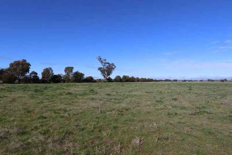 159ha Versatile Farm - Ideal Starter or Lifestyle Block