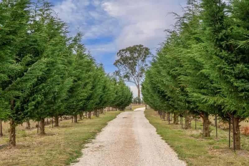 Rural property For Rent , Oberon, New South Wales