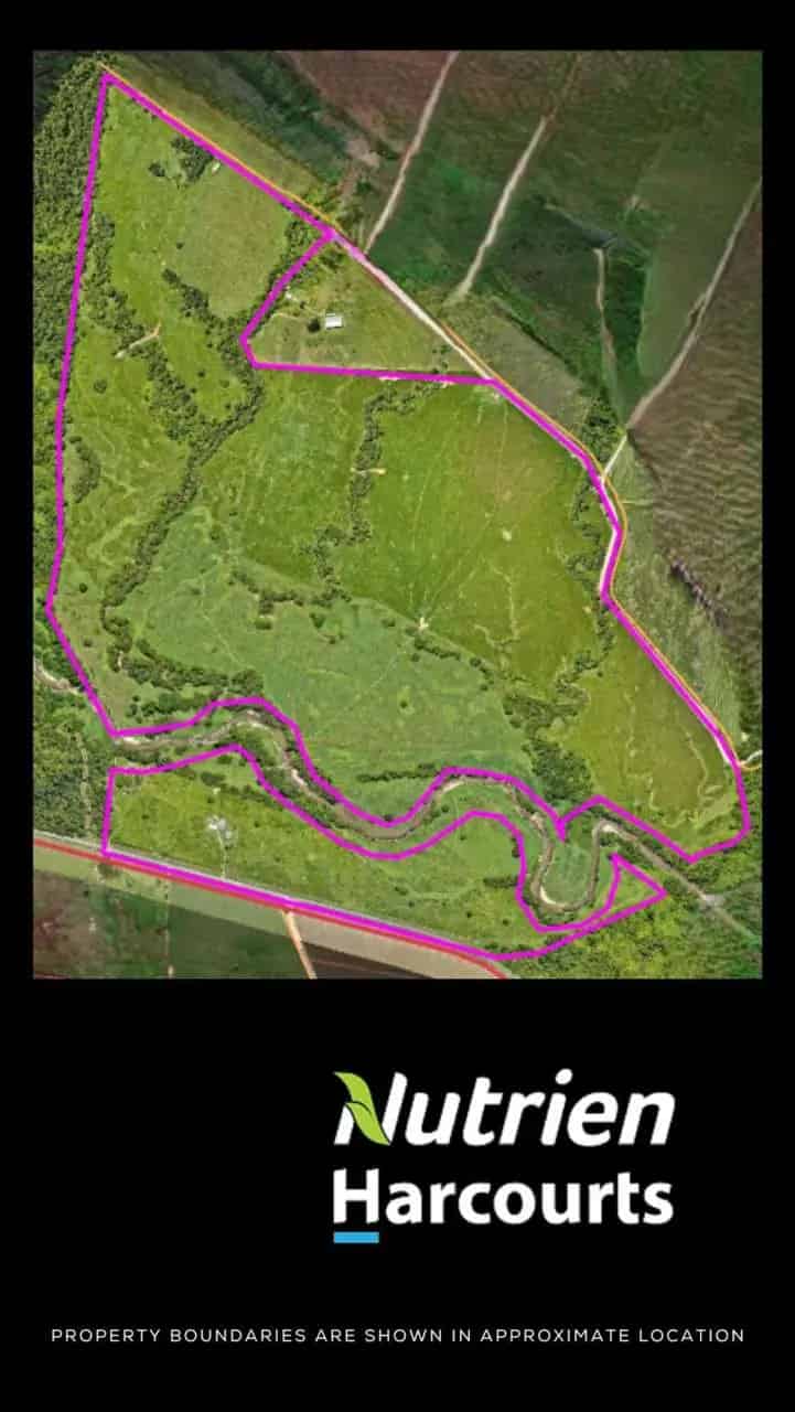 Buy Rural Property Mt Marquette High-Quality Cattle Fattening 146.6 Ha