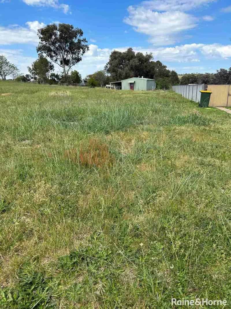 House For Sale , Weddin Shire Council, New South Wales