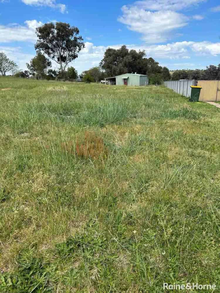 House For Sale , Weddin Shire Council, New South Wales
