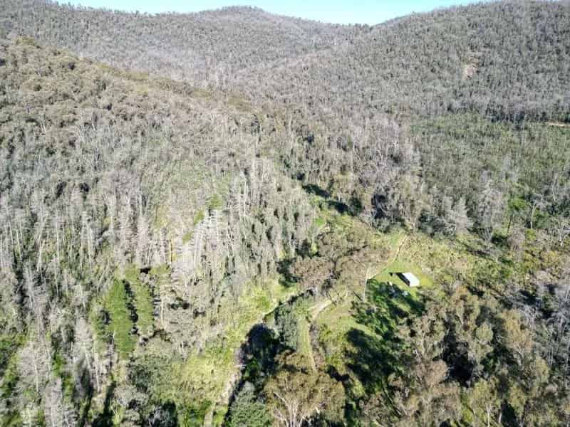 Rural property For Sale , Shire of Towong, Victoria