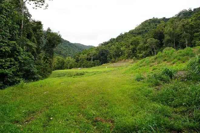 Tranquil Forest Rainforest Oasis with Swimming Holes and Mountain Views