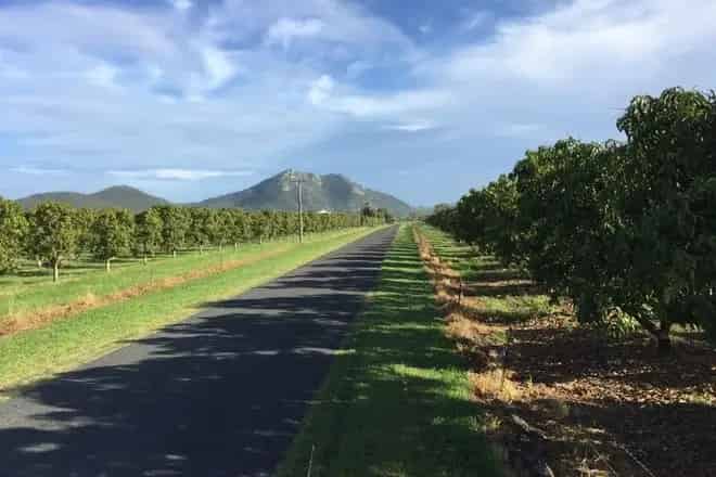 Rural property For Sale , Bowen, Queensland
