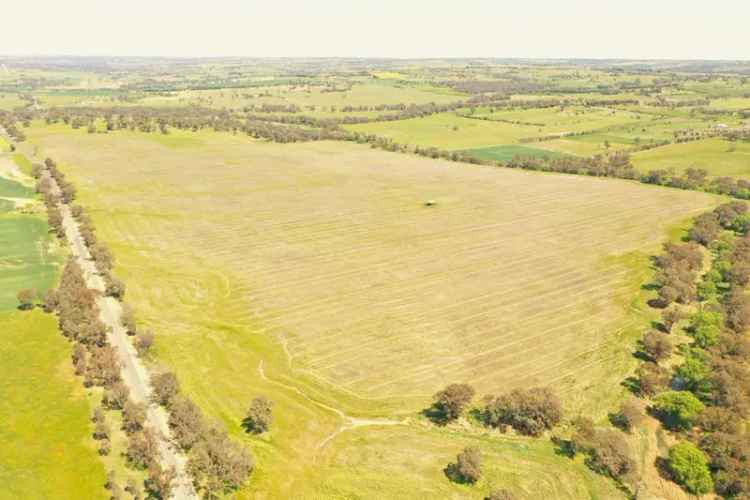 Rural For Sale in Young, New South Wales