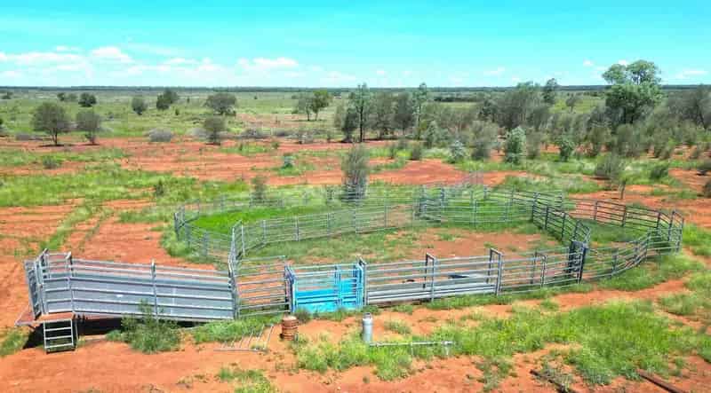 Buy rural property near Mungallala with shearing shed and pastures