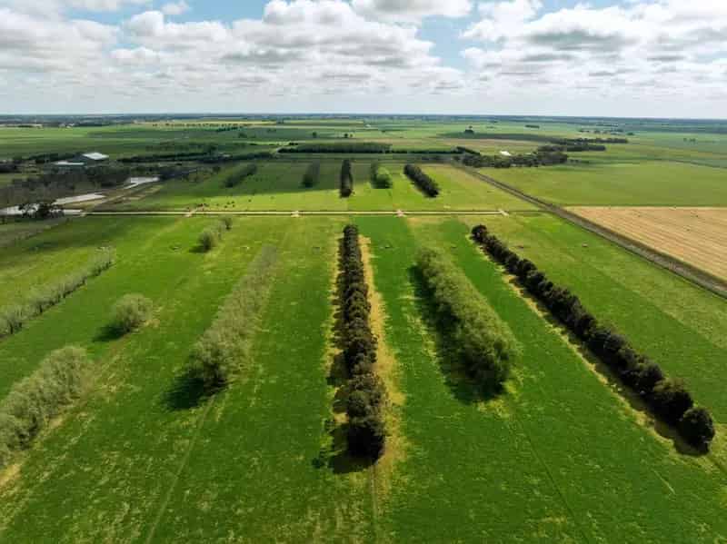 Buy Rural Property in Bamawm With Developed Irrigated Dairy Features